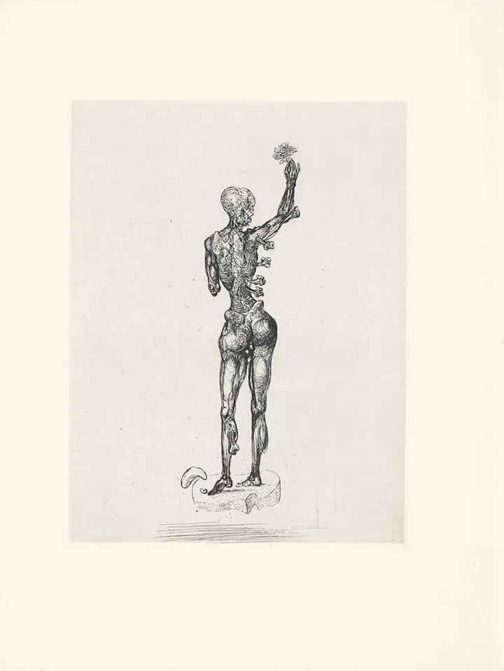Plate 12 Les Chants de Maldoror