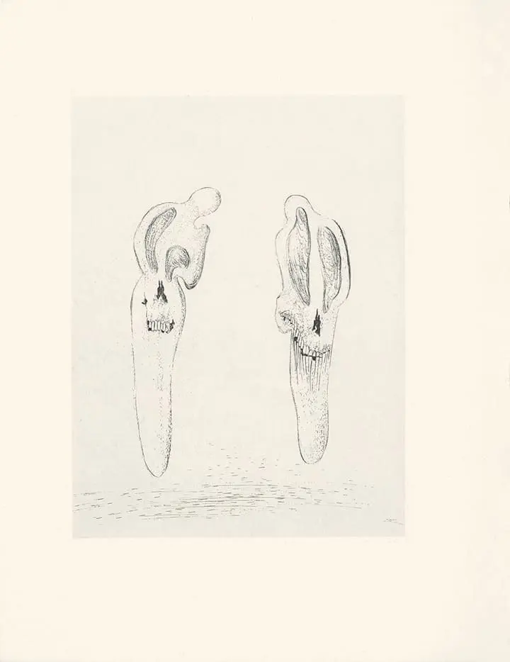 Plate 16 Les Chants de Maldoror