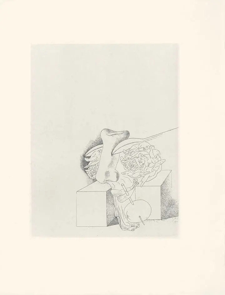 Plate 29 Les Chants de Maldoror
