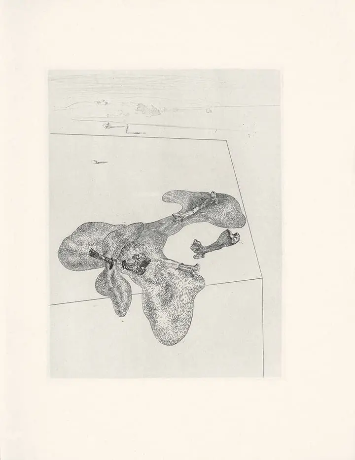 Plate 33 Les Chants de Maldoror