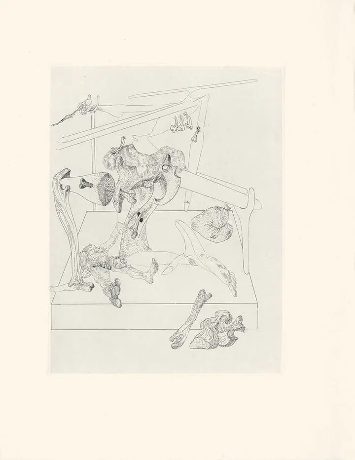 Plate 39 Les Chants de Maldoror