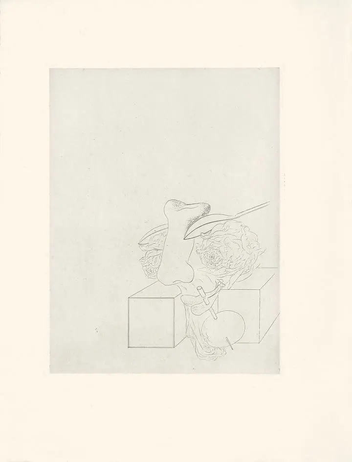 Plate 43 Les Chants de Maldoror